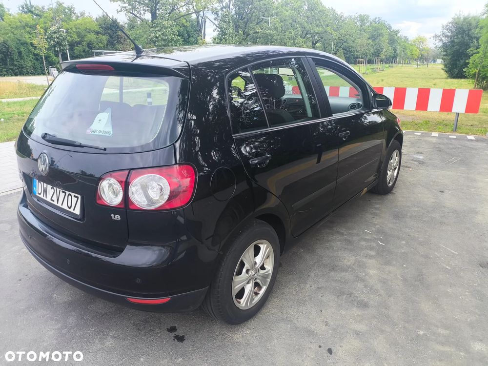 Volkswagen Golf Plus 1.6 United - 1