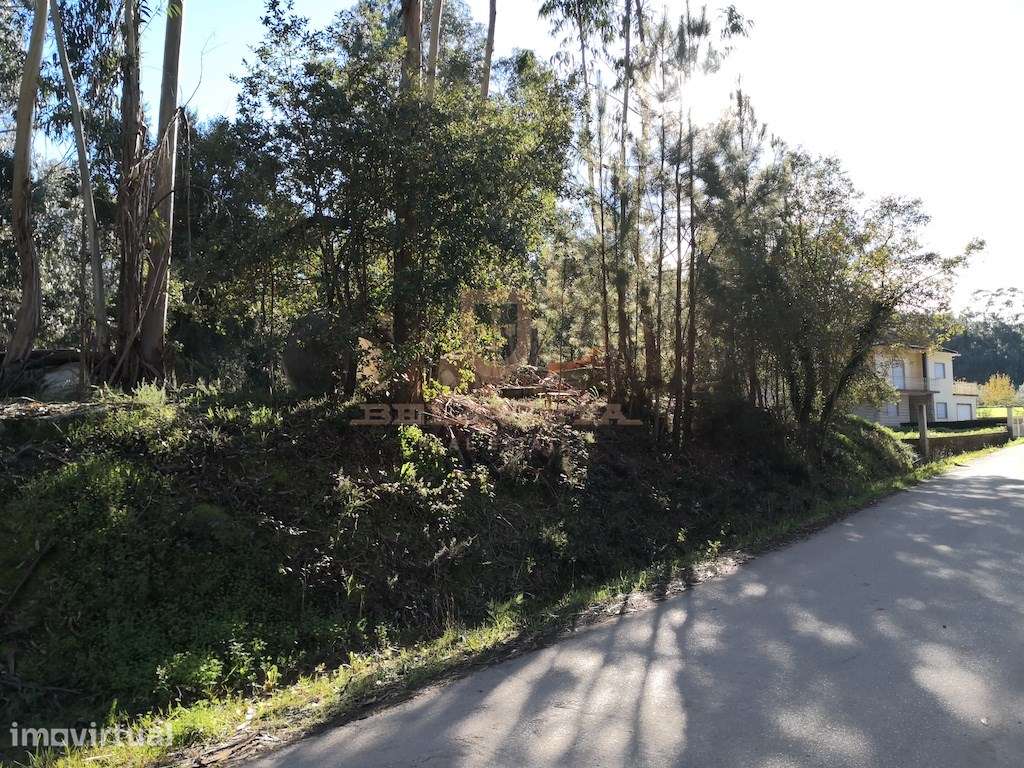 Oportunidade terreno para construir - Gondemaria - Grande imagem: 3/5