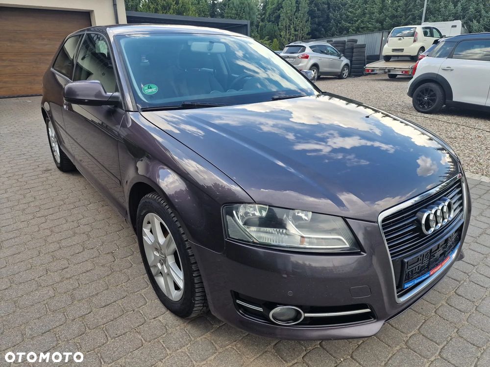Audi A3 3-drzwiowe 1.6 TDI DPF Attraction - 11