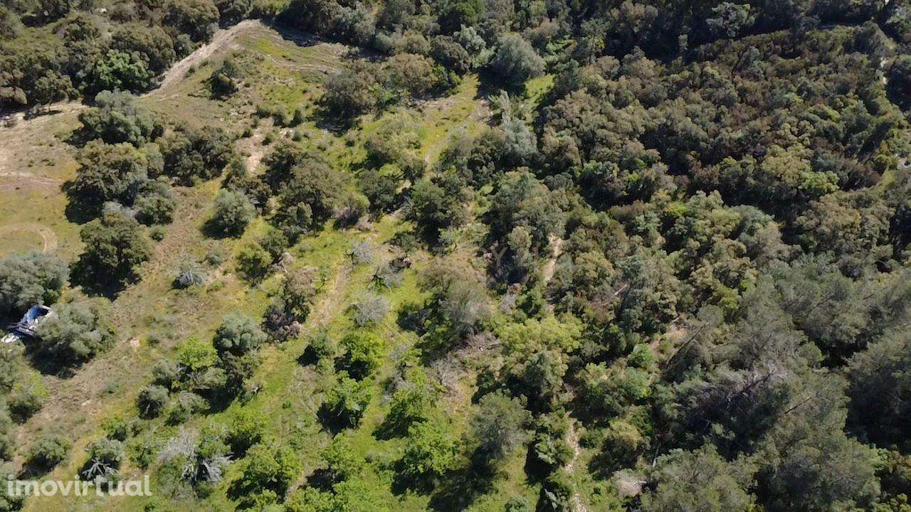 Terreno agrícola - Grande imagem: 3/15