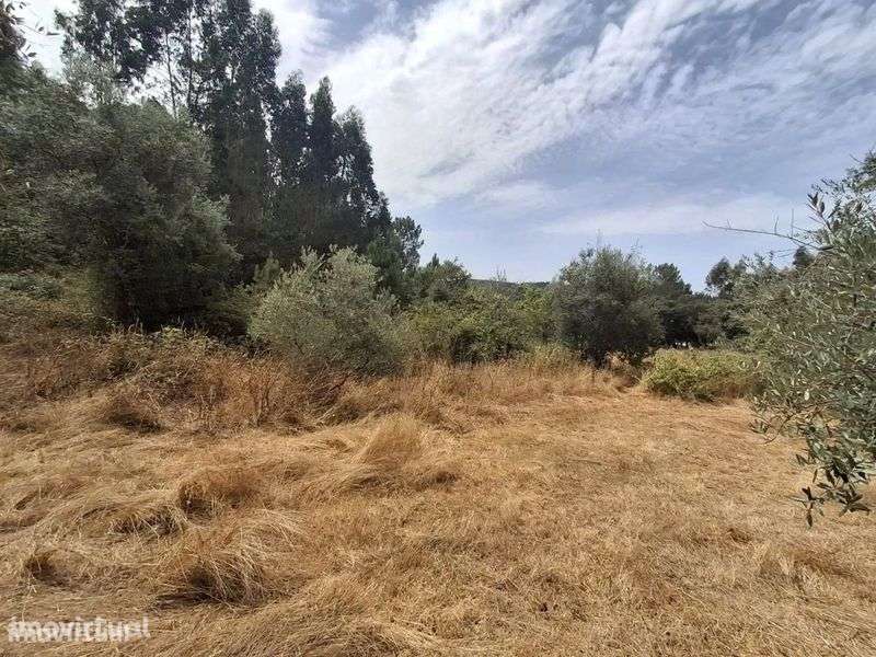 Terreno rústico com 1000m² na Assumadinha - Grande imagem: 2/3