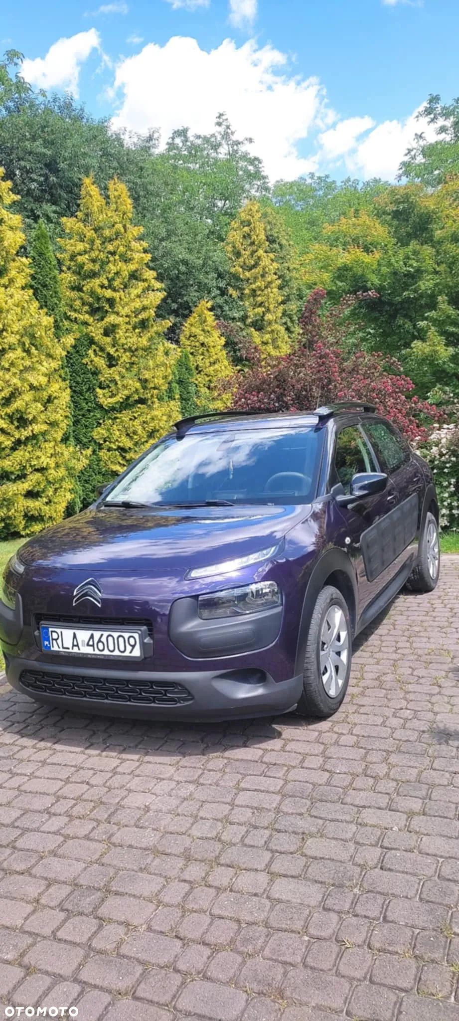 Citroën C4 Cactus - 1