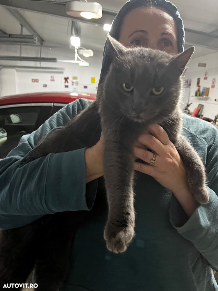 Renault Wind TCe 100 Dynamique - 10