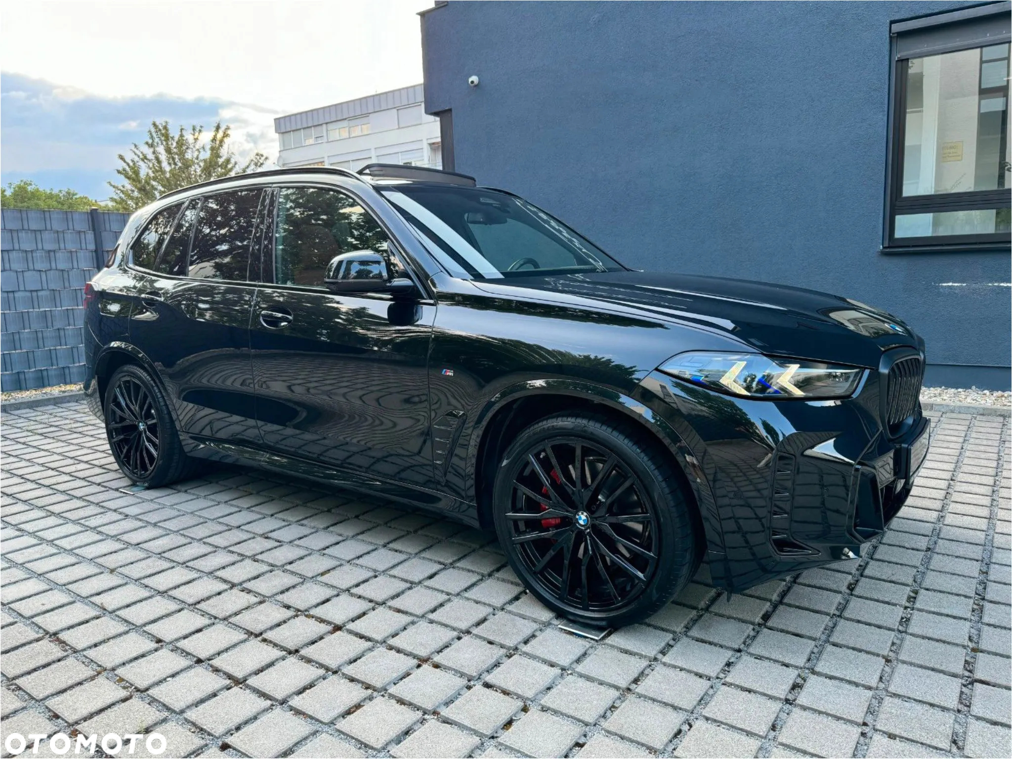 BMW X5 xDrive30d sport - 4