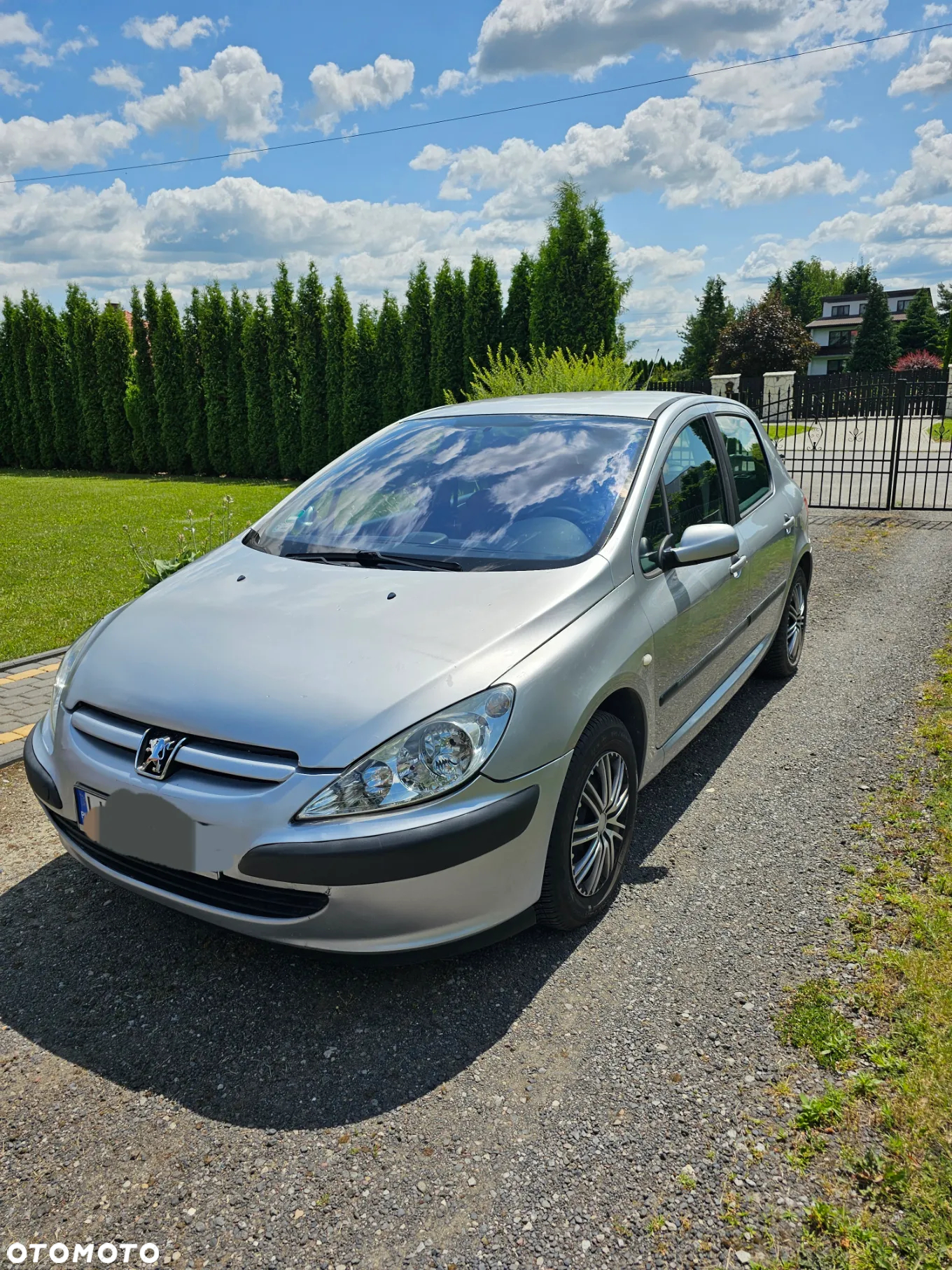 Peugeot 307 110 Sportline - 9