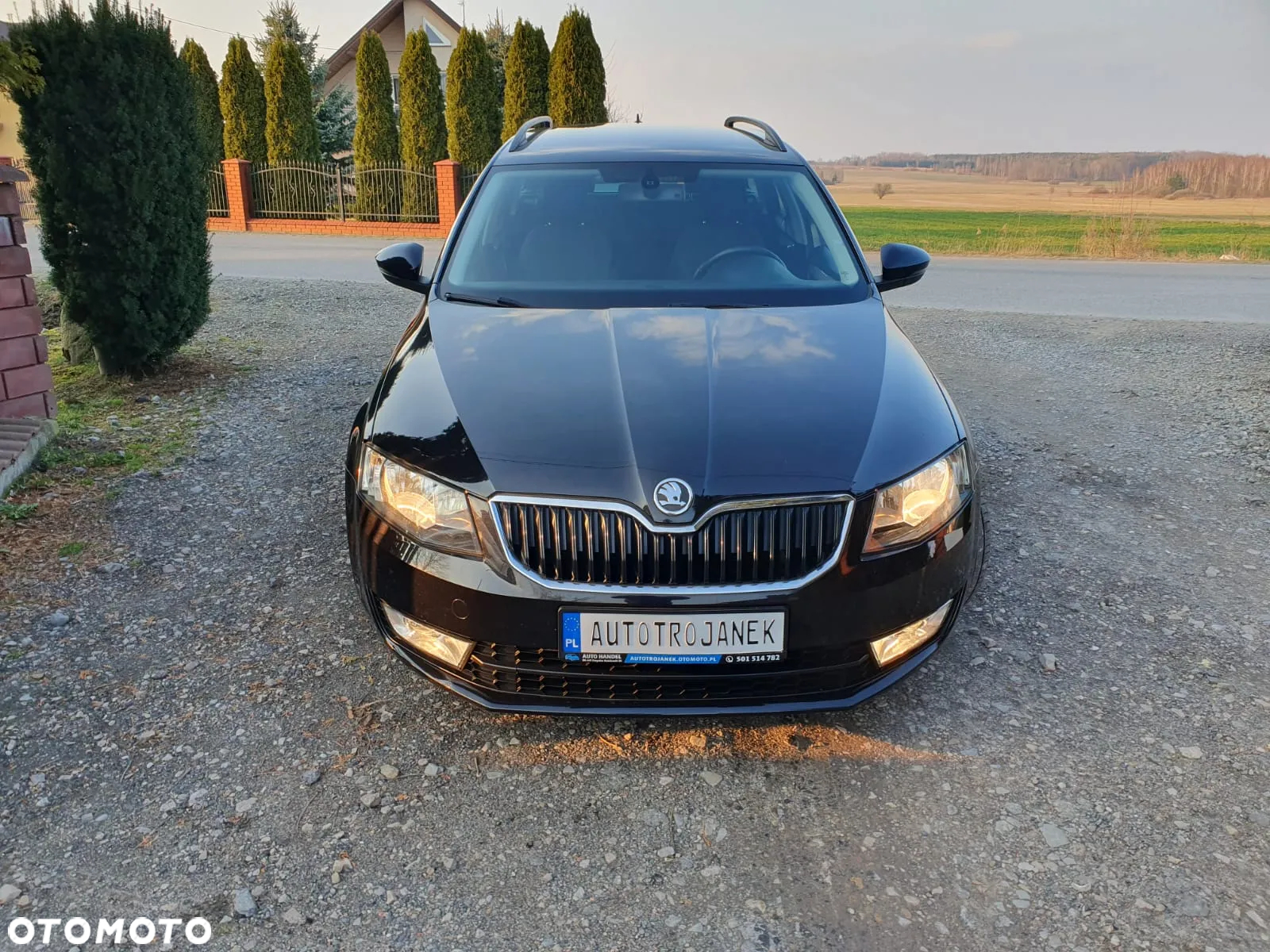 Skoda Octavia 1.6 TDI Classic - 2
