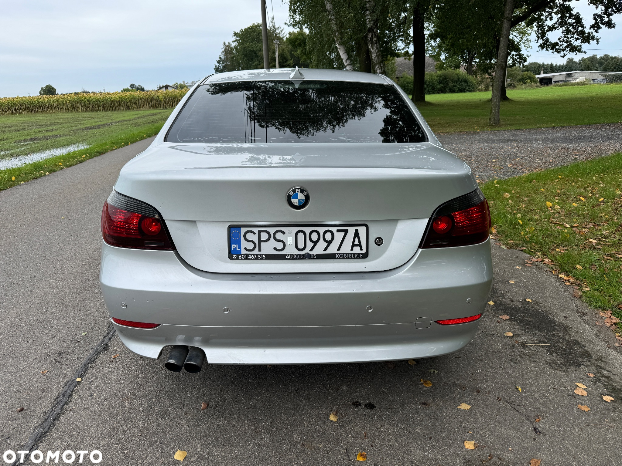 BMW Seria 5 520i - 6