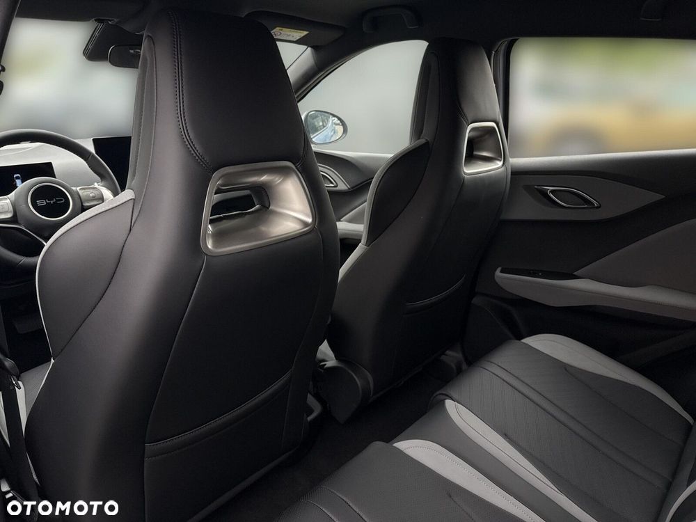 BYD Dolphin Surf - 13