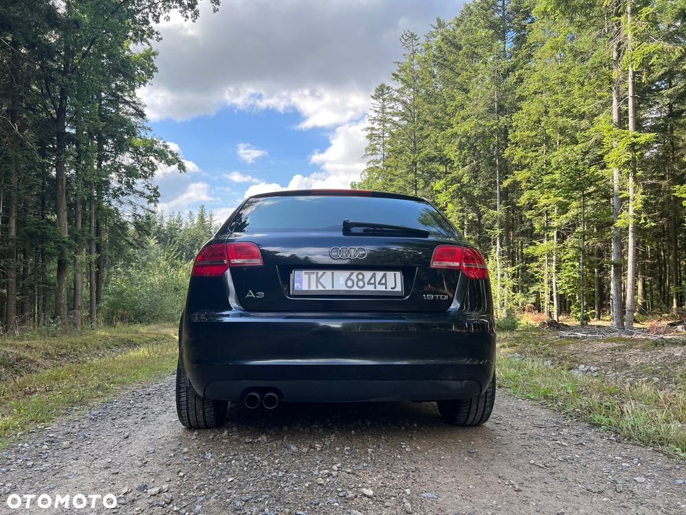 Audi A3 Sportback 1.9 TDI DPF Attraction - 7