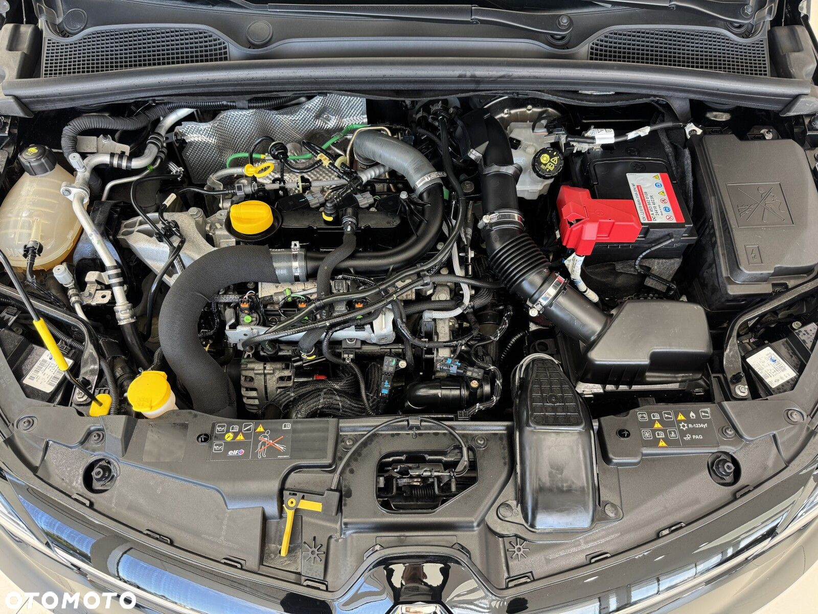 Renault Clio - 19