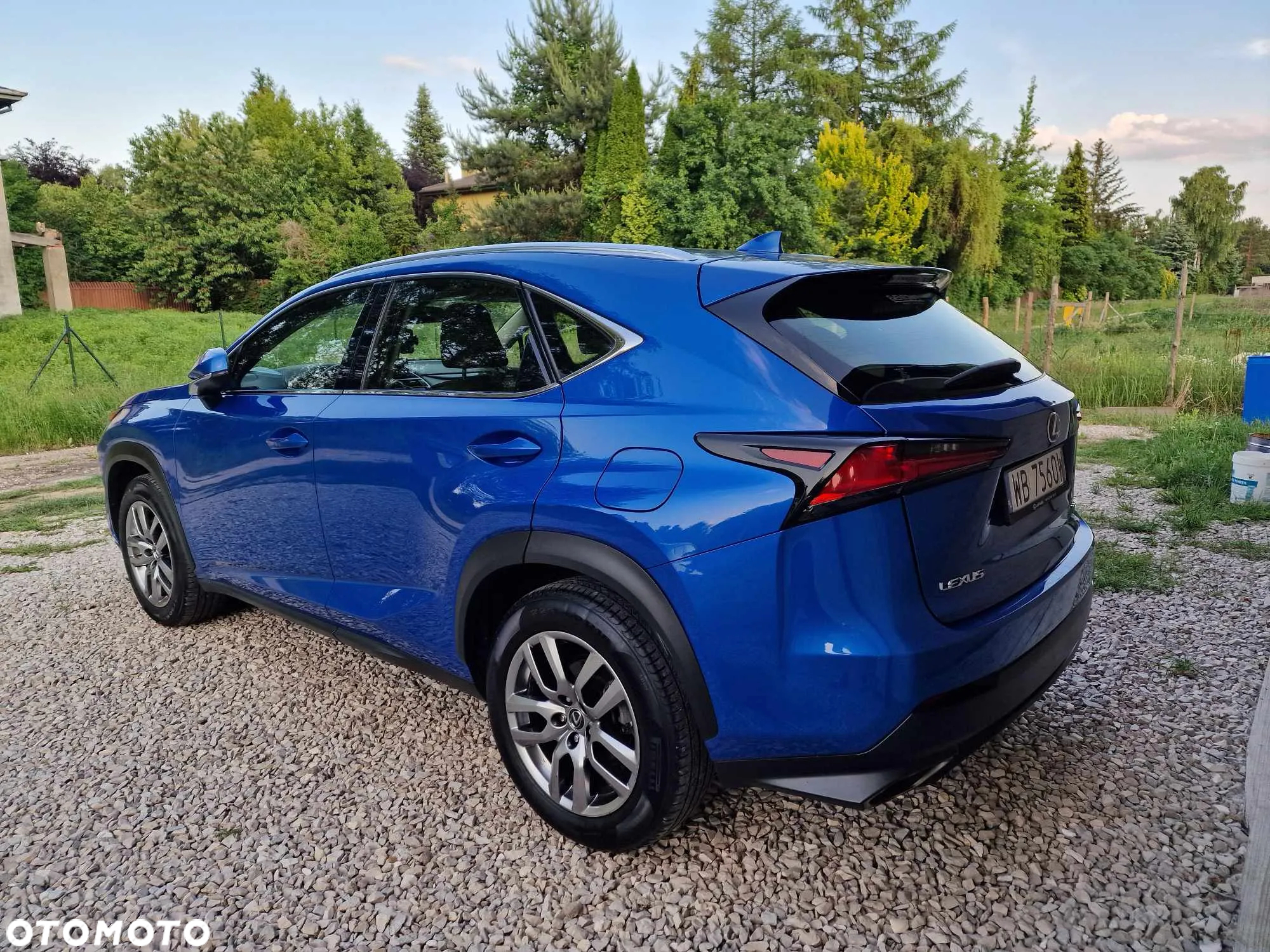 Lexus NX 300 Elegance AWD - 9