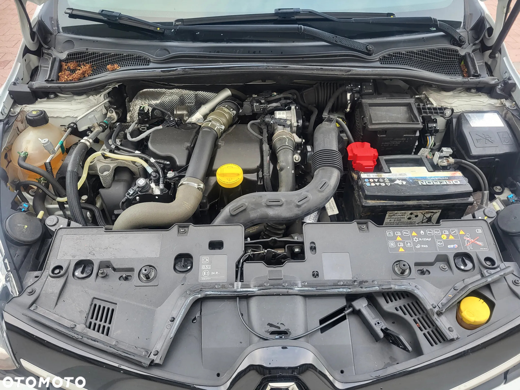 Renault Clio - 12