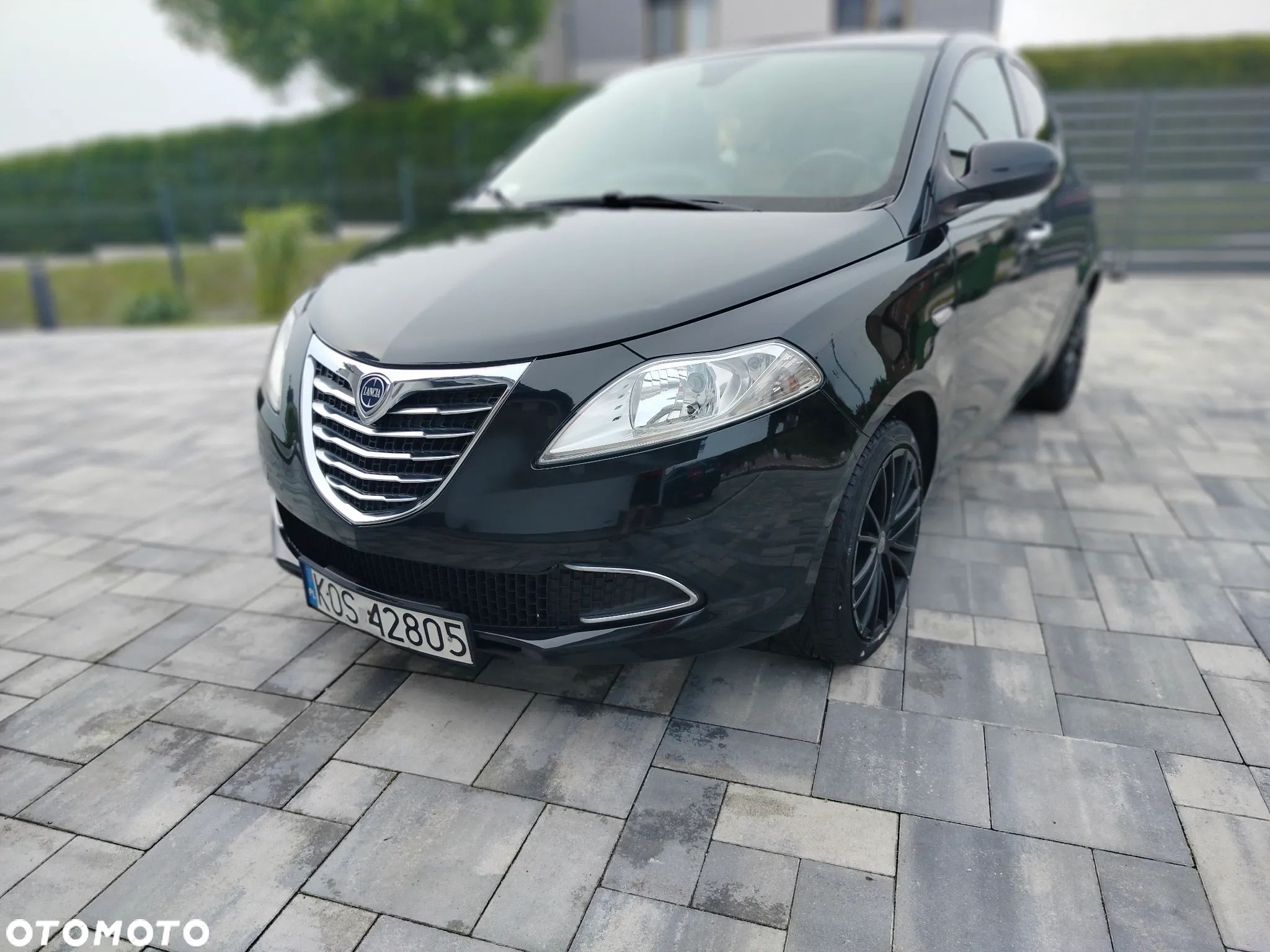 Lancia Ypsilon 1.2 8V Silver S&S - 1