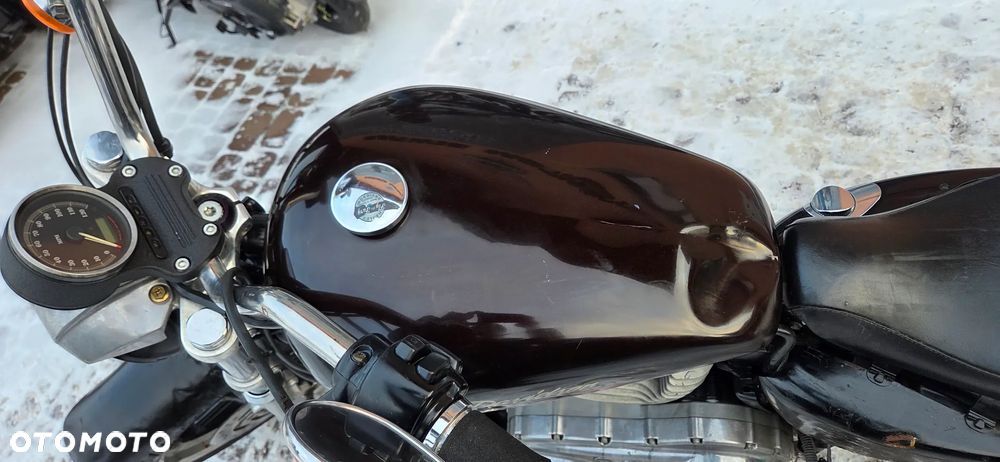 Harley-Davidson Sportster Custom 883C - 34