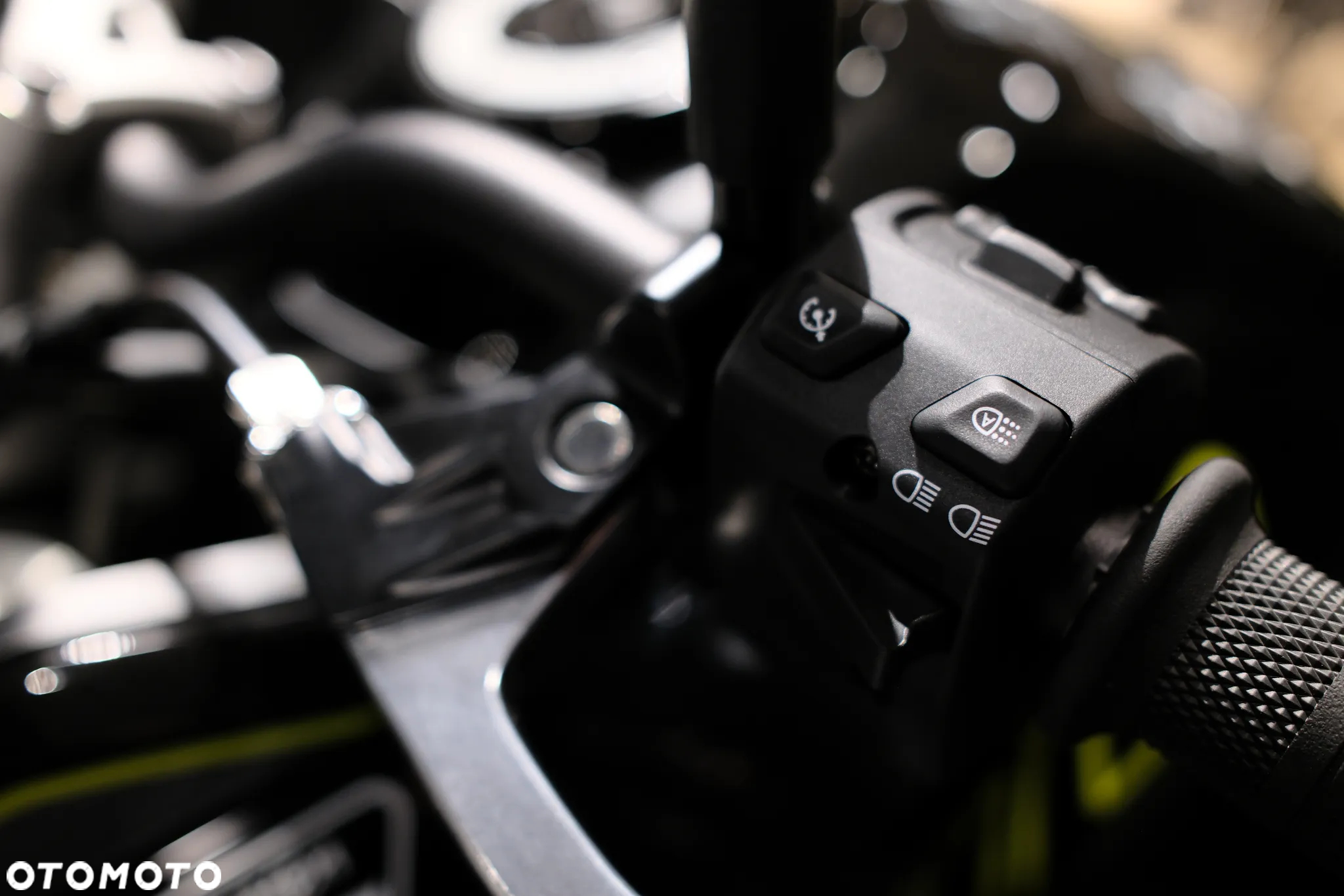 Triumph Tiger - 9