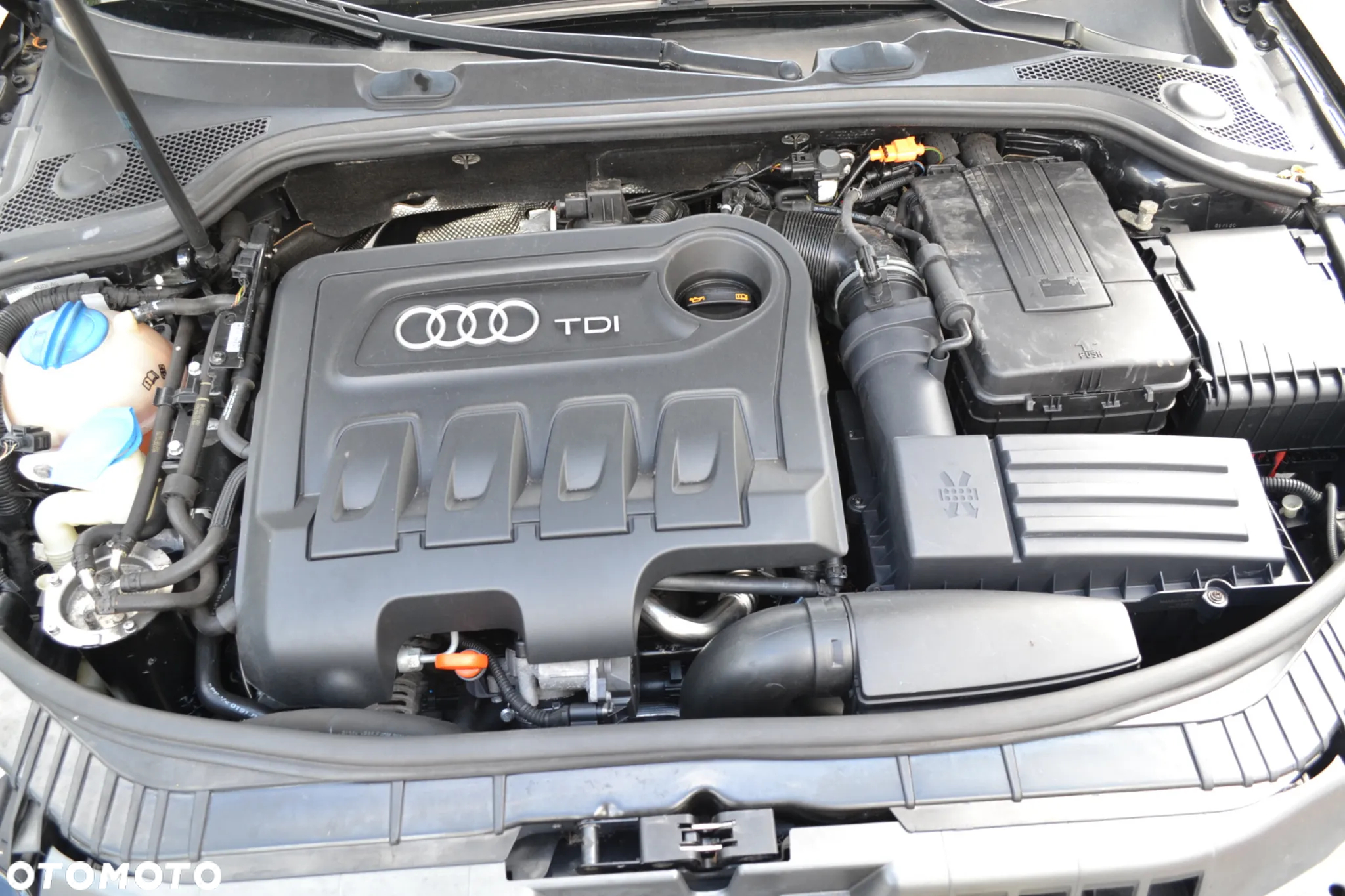 Audi A3 - 17