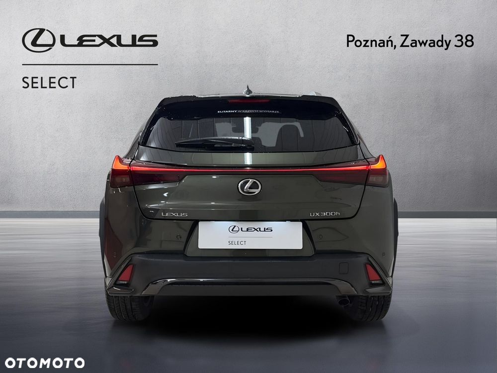 Lexus UX 300h F Sport Design - 7