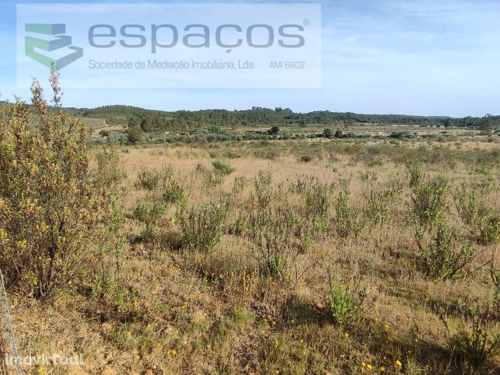 Terreno rústico - Grande imagem: 5/5