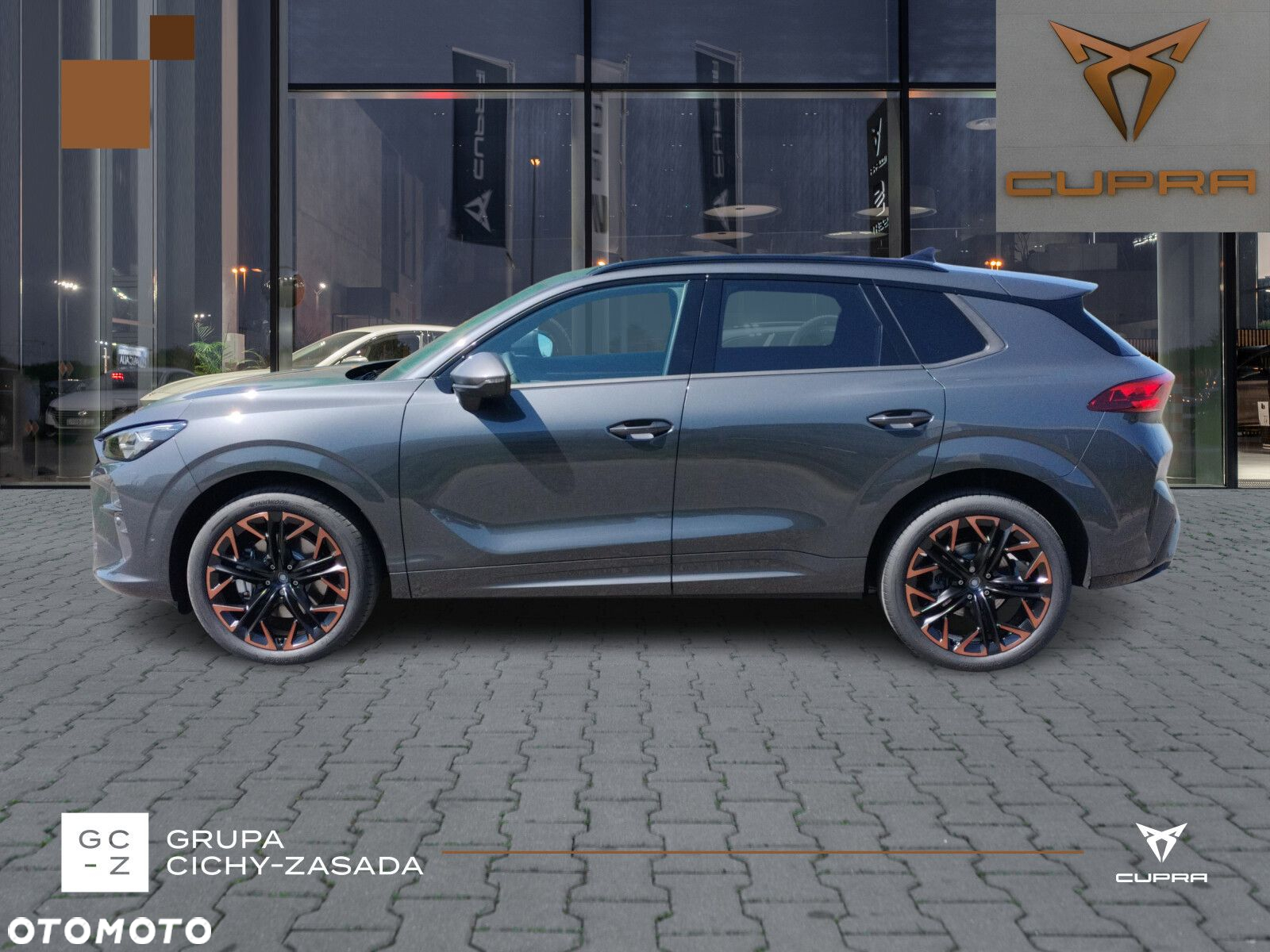 Cupra Terramar 2.0 TSI 4Drive DSG - 2