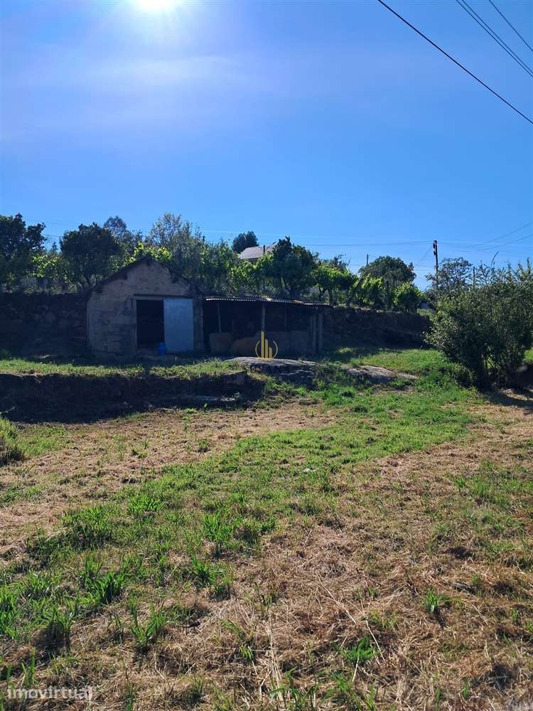 Terreno Para Construção  Venda em Nelas,Nelas - Grande imagem: 5/17