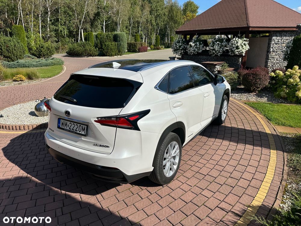 Lexus NX - 8