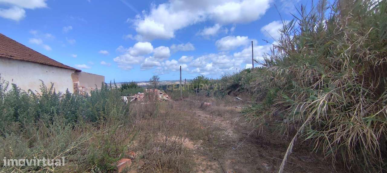 TERRENO PARA CONSTRUÇÃO COM 1.000 M² | CABEÇA GORDA | ENTRE TORRES VED - Grande imagem: 2/14