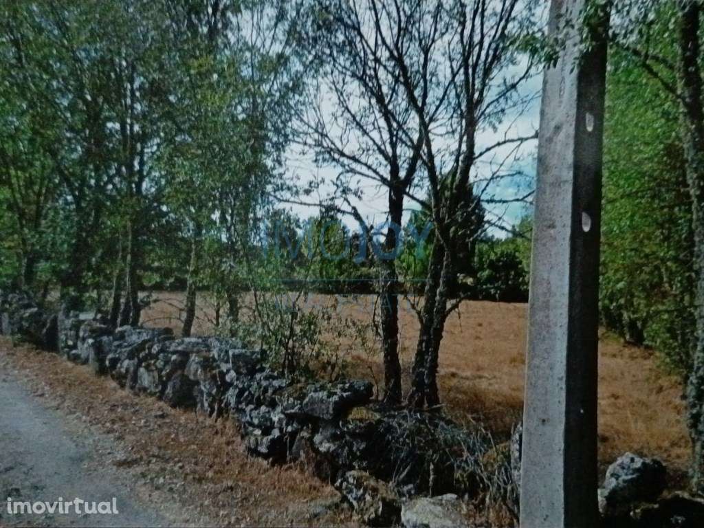 Terreno Rústico para Venda Ade, Guarda - Grande imagem: 5/16