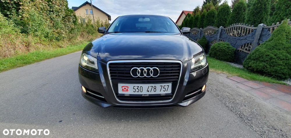 Audi A3 - 17