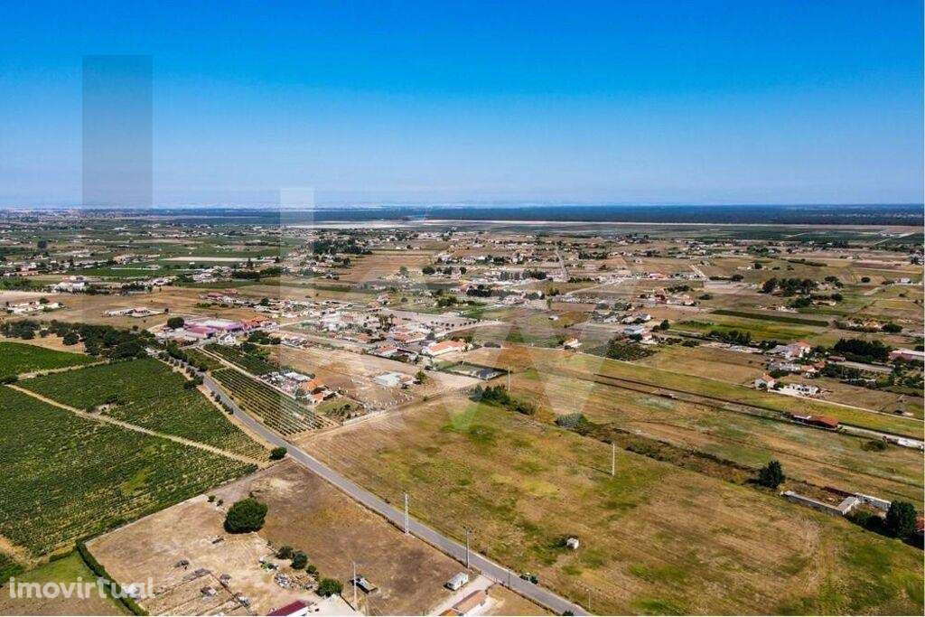 Terreno RÚSTICO c/ 1,86ha | Cajados - Palmela - Grande imagem: 3/12