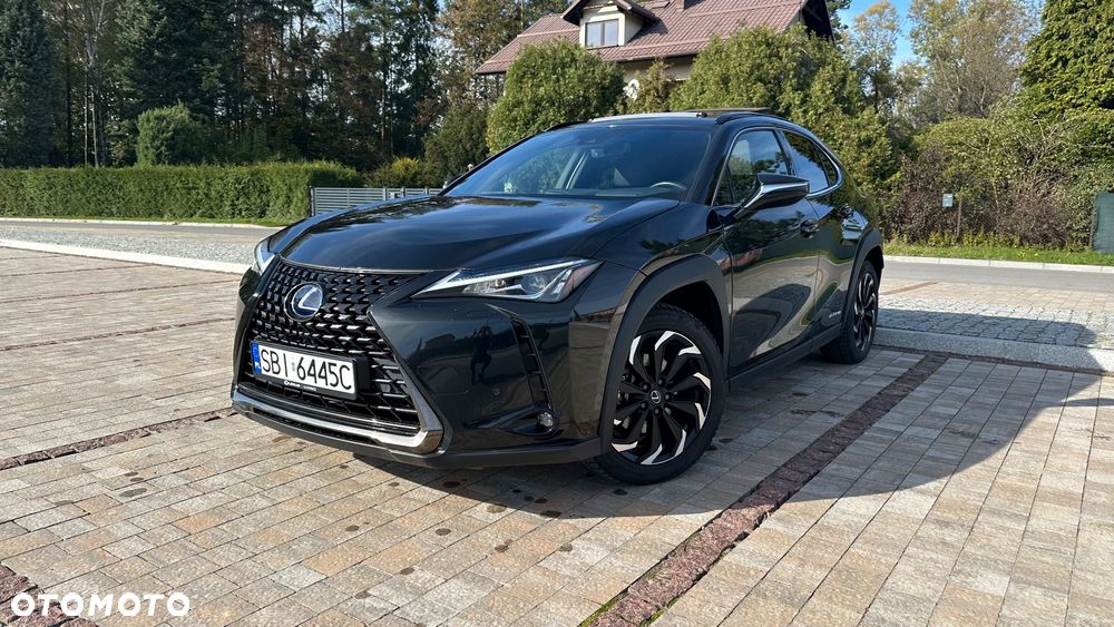 Lexus UX 250h GPF Prestige AWD - 2