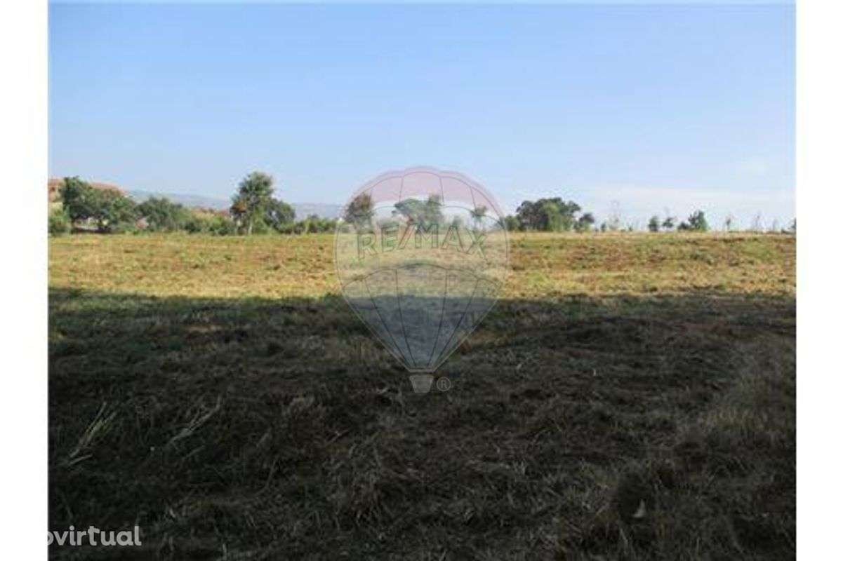 EXCELENTE TERRENO - Grande imagem: 2/5