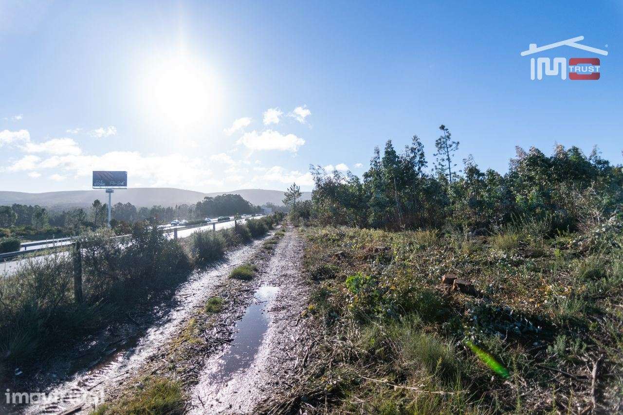 TERRENO COM AREA DE 6268 M2 ZONA INDUSTRIAL DE BOLEIROS/MAXIEIRA JU... - Grande imagem: 3/9
