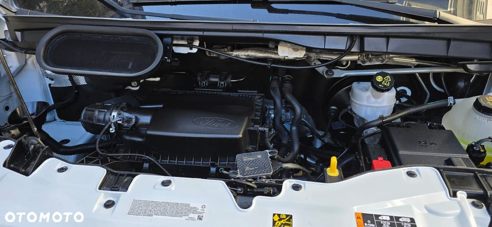 Ford Eura Mobil Profila - 23