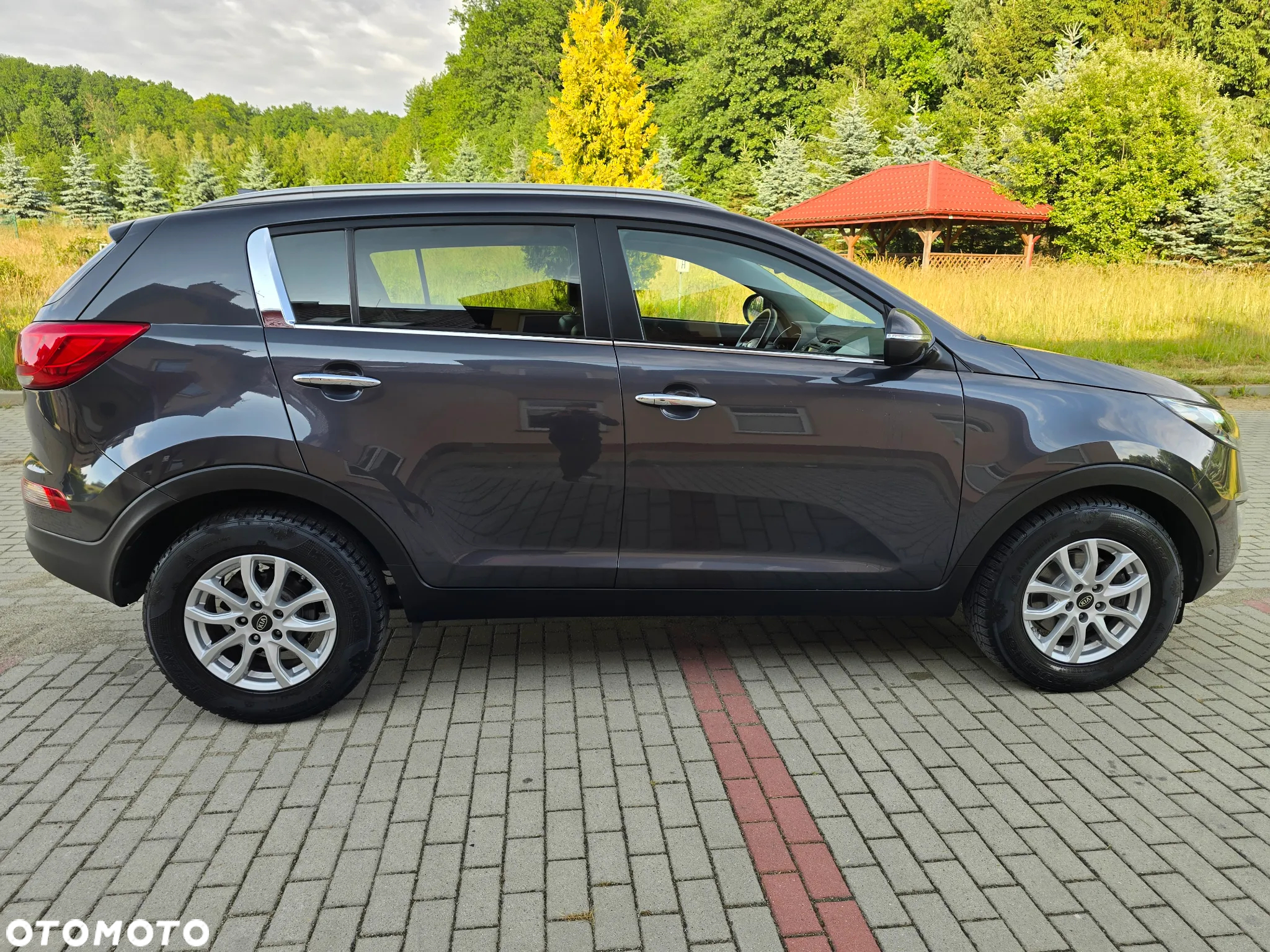 Kia Sportage 1.6 GDI Business Line M 2WD - 15