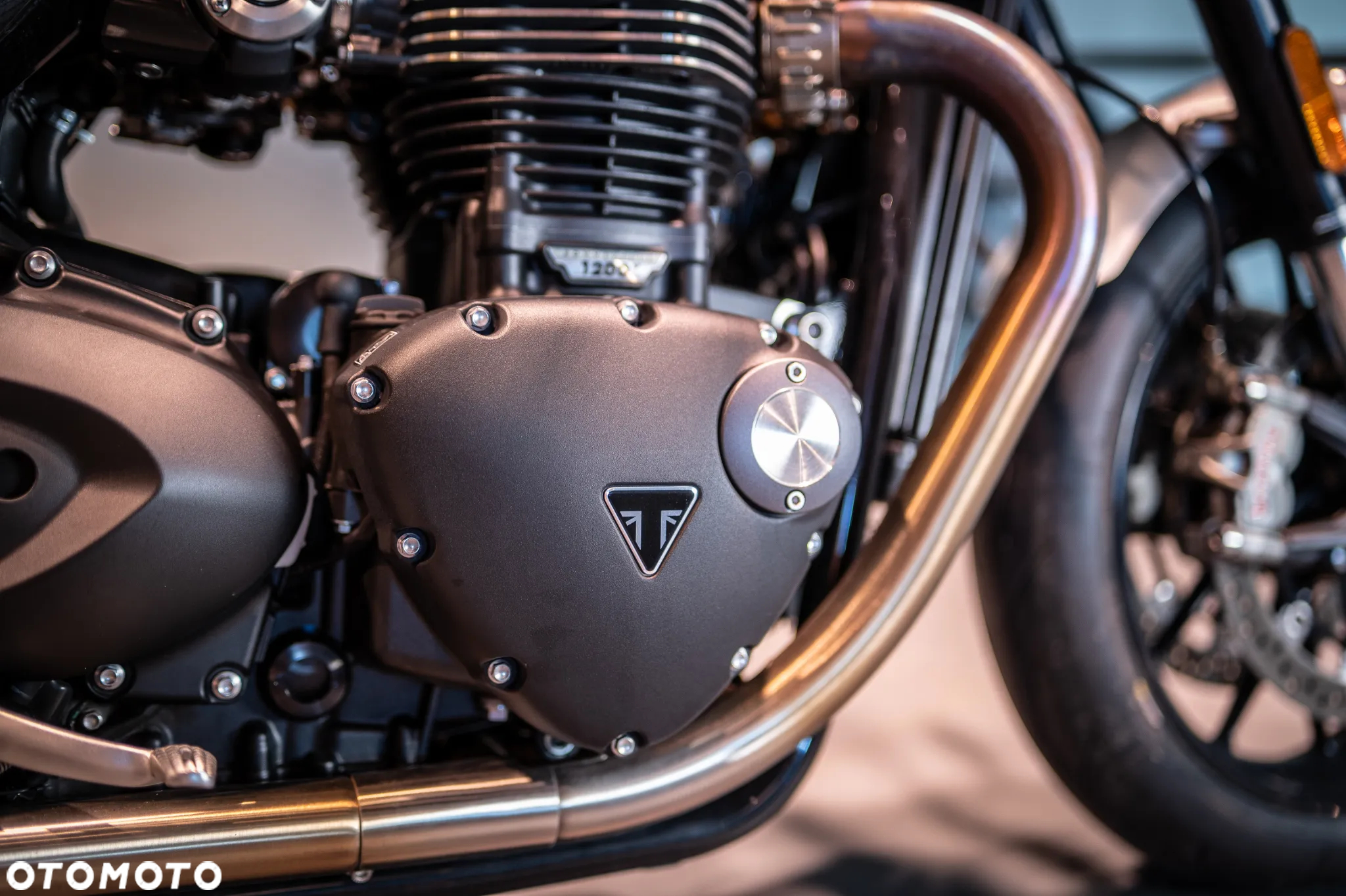 Triumph Speed Twin - 26