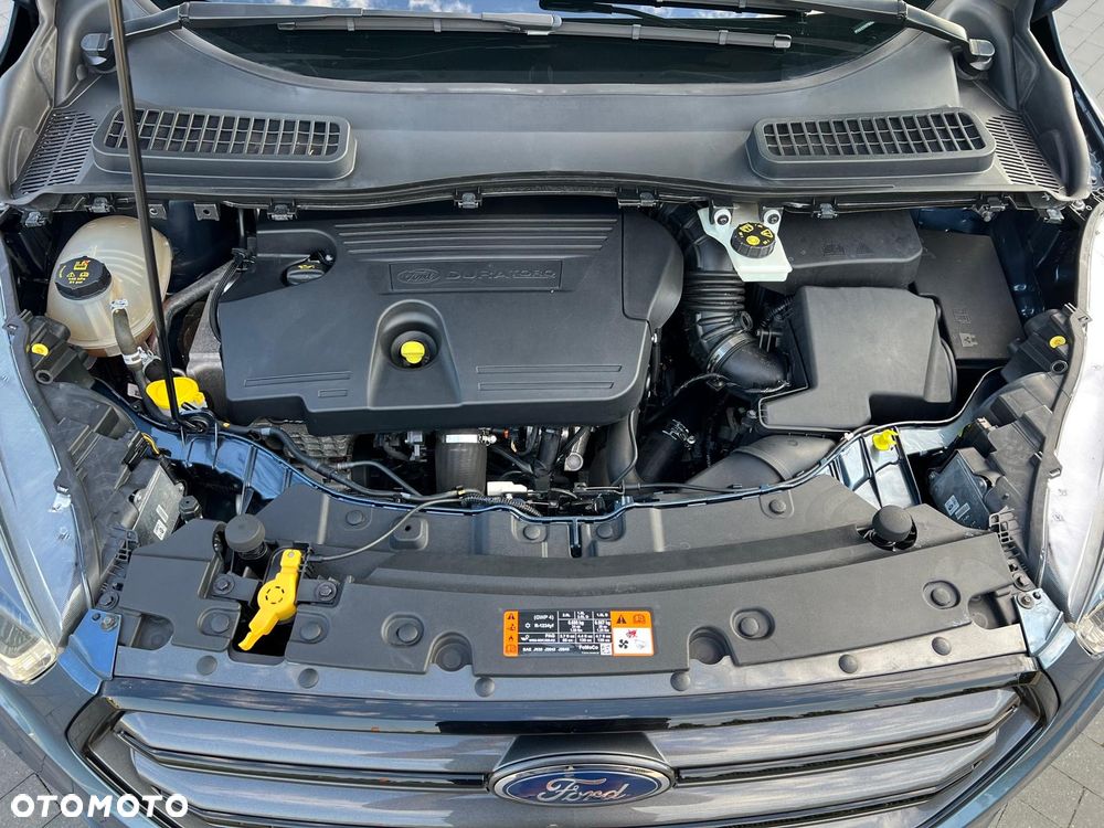 Ford Kuga 2.0 EcoBlue 4x4 ST-LINE - 31
