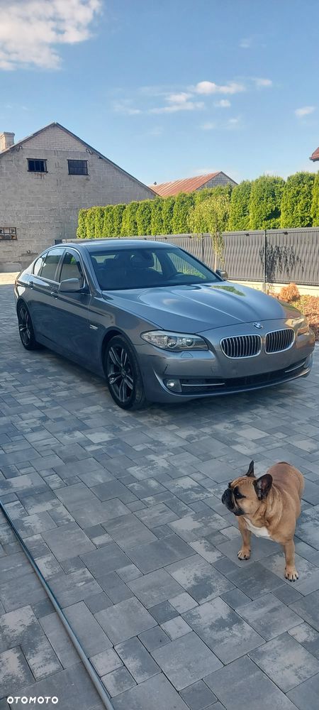BMW Seria 5 520d - 9