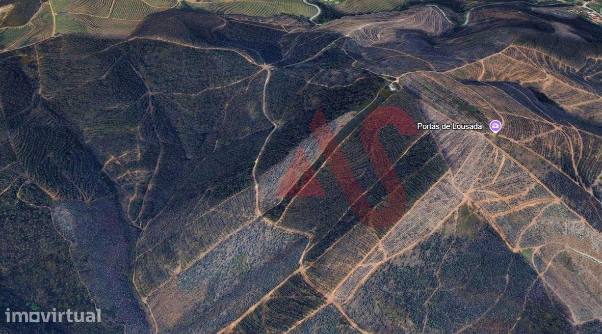 Terreno Florestal com 80.000m2 em Silvares, Lousada - Grande imagem: 2/2