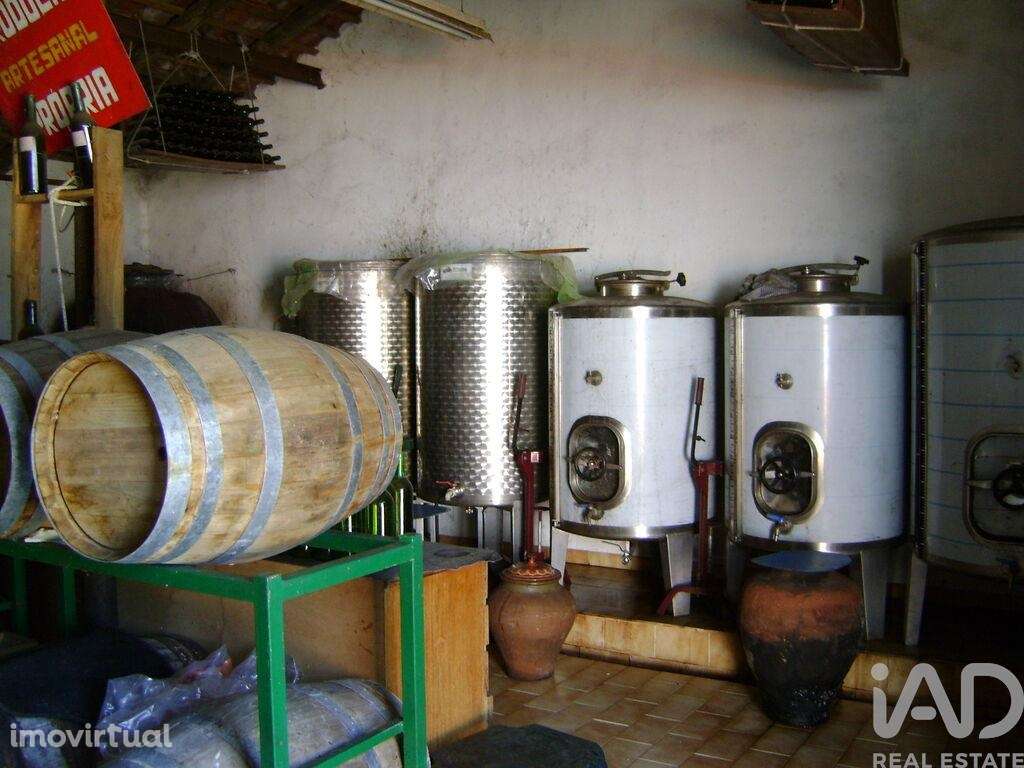 Terreno Agrícola em Cabeça Gorda de 41500,00 m2 - Grande imagem: 5/22