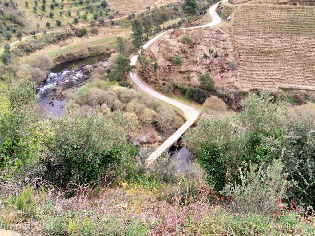 Quinta com 7ha e com projeto de remodelação, situada no Douro Vinha... - Grande imagem: 3/23