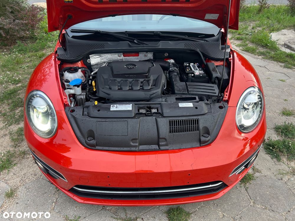 Volkswagen Beetle - 9