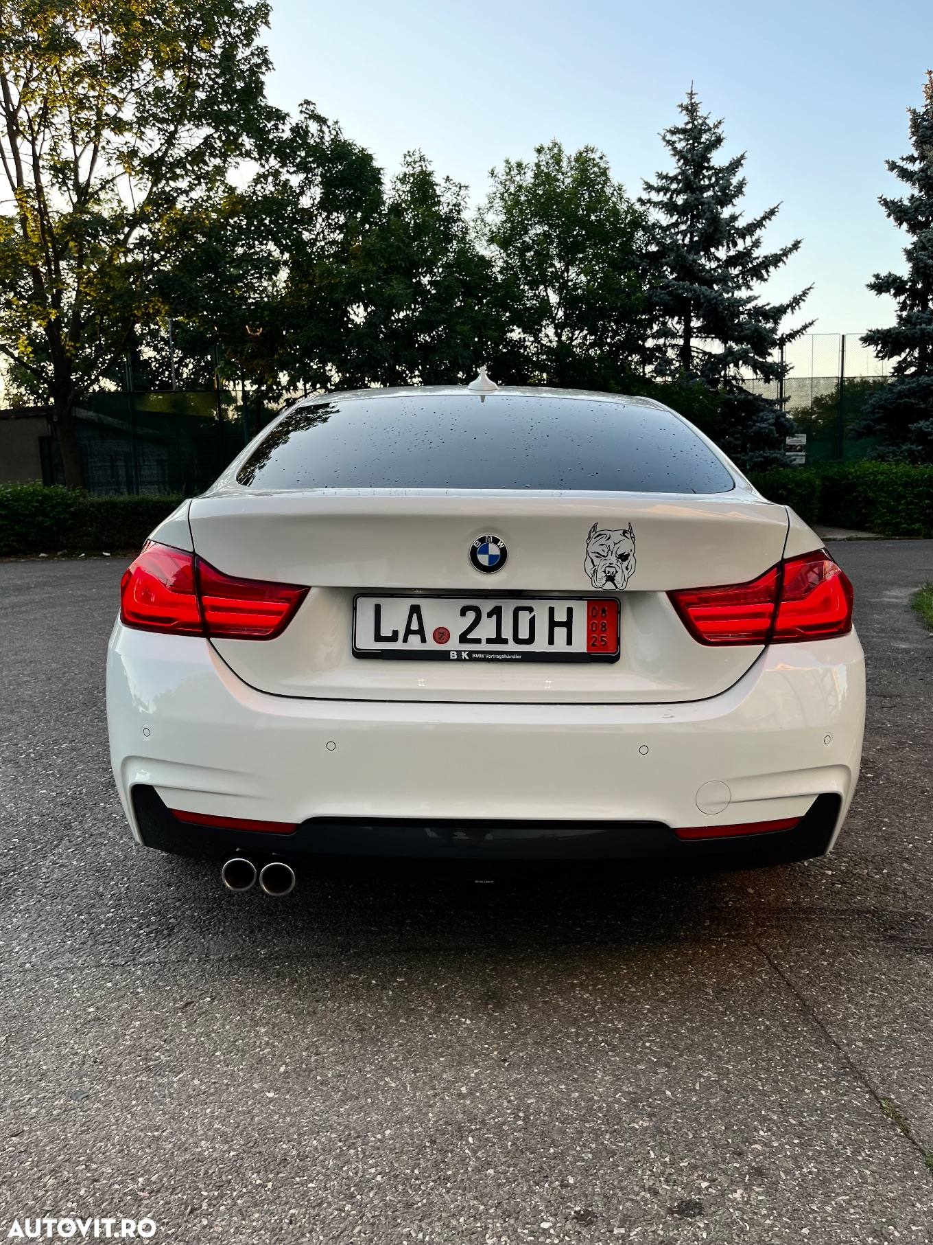 BMW Seria 4 420d Gran Coupe xDrive Aut. Luxury Line - 6
