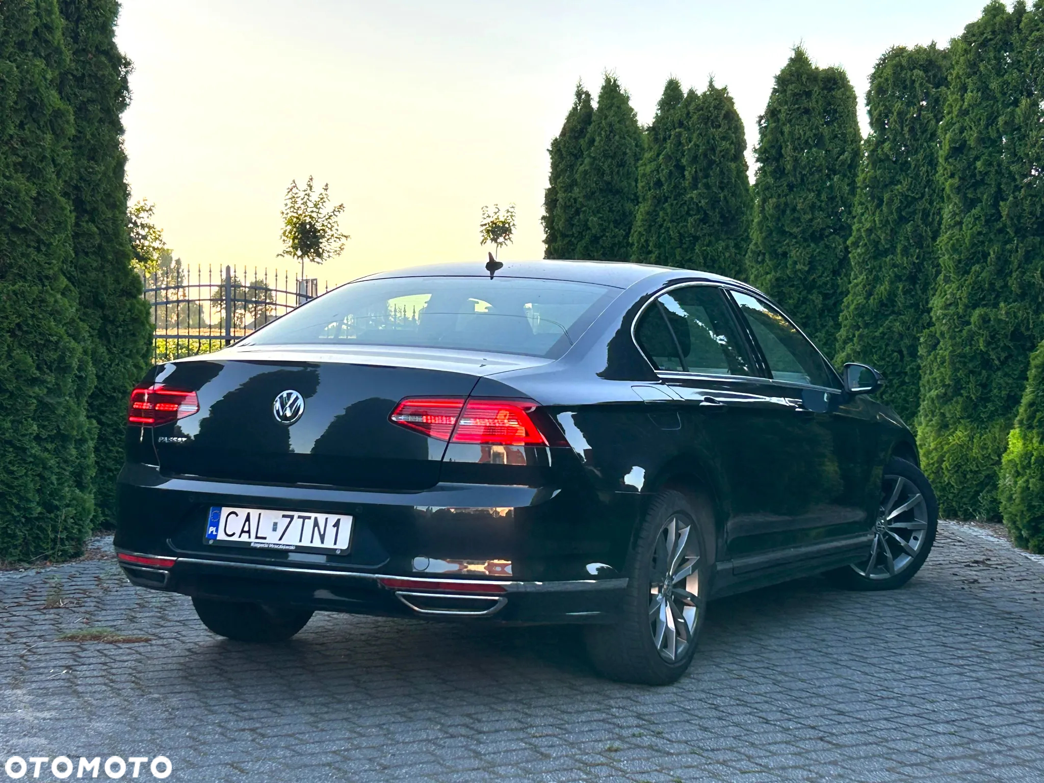 Volkswagen Passat - 10