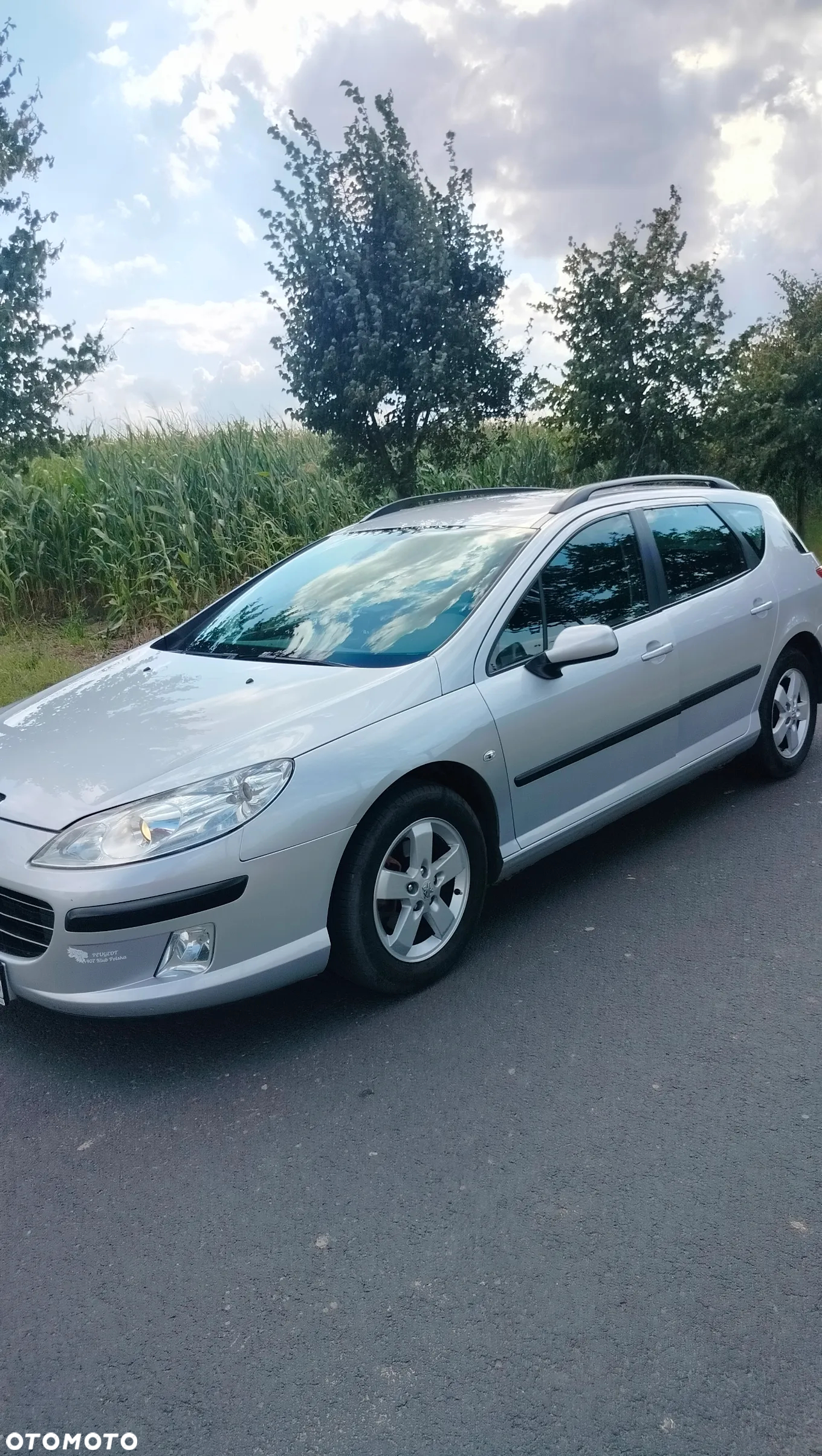 Peugeot 407 1.6 HDI Premium - 6