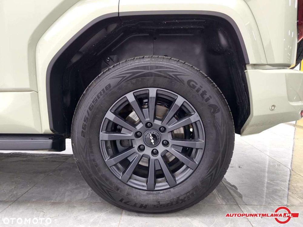 BYD Leopard 5 - 17
