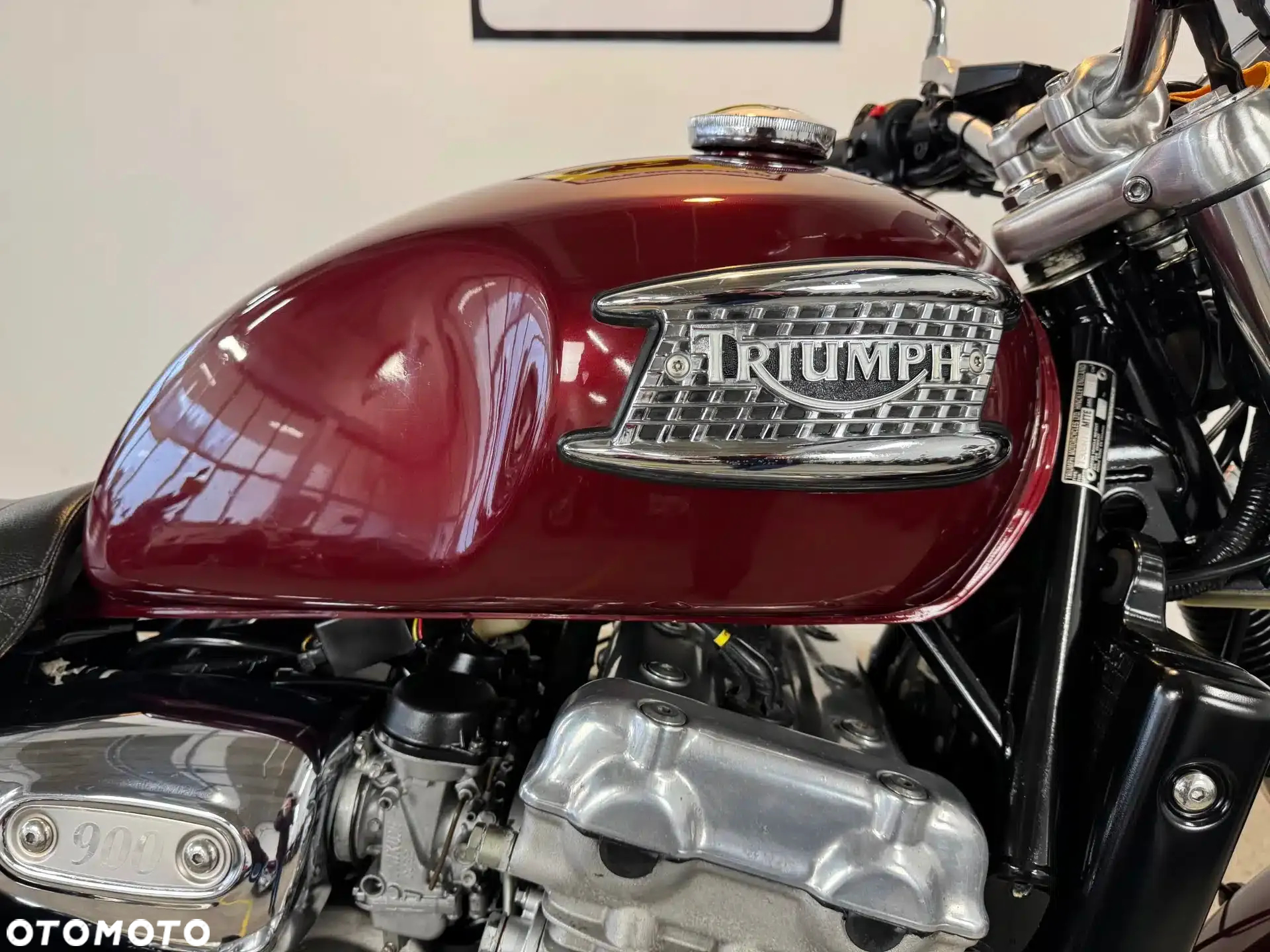 Triumph Thunderbird - 11