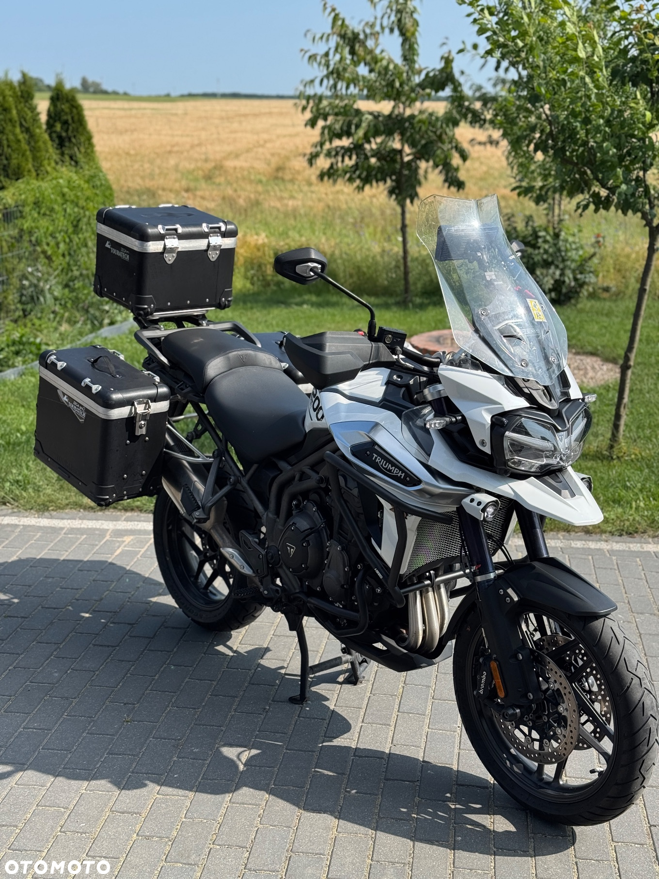 Triumph Tiger