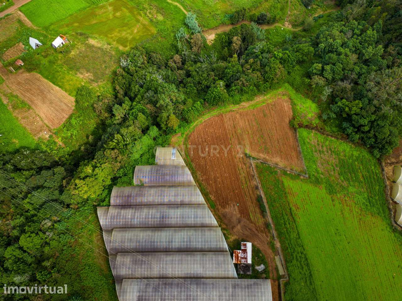 Terreno Rustico- Ideal para Projeto de Investimento - Grande imagem: 4/15