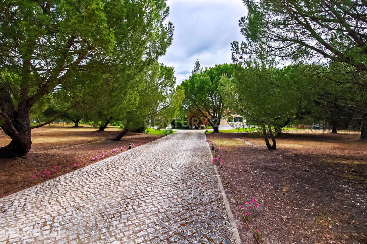 MORADIA TÉRREA | 4 QUARTOS | PISCINA | 20.000 m2 TERRENO | SANTO ESTEV - Grande imagem: 4/34