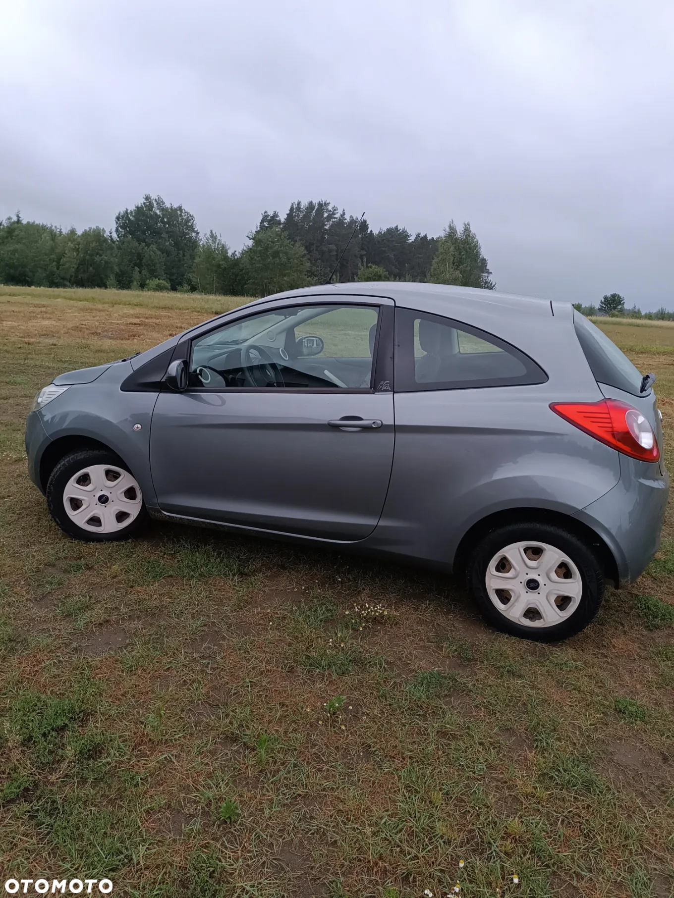 Ford KA - 5